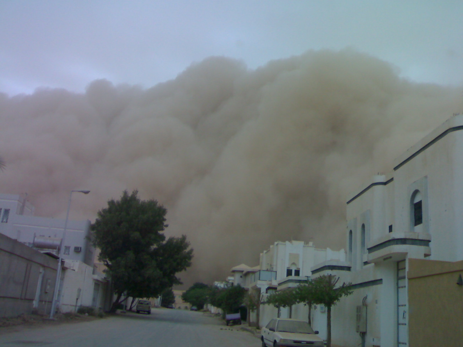 حقيقه 20120318_14291256529